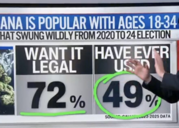 CNN Data Guru Reveals Issue That Could Swing Voters Back to Trump