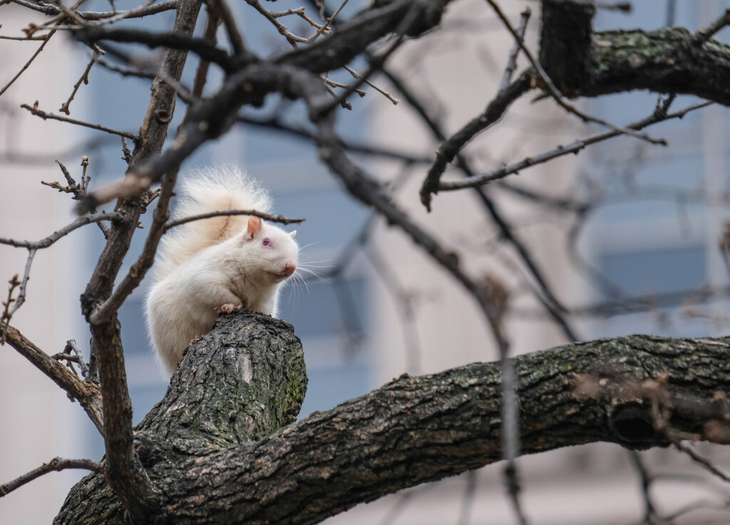 Amid gray chill, long annual journey around sun nears end