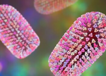 Man Dies of Rabies After Receiving Kidney From Someone Scratched by a Skunk