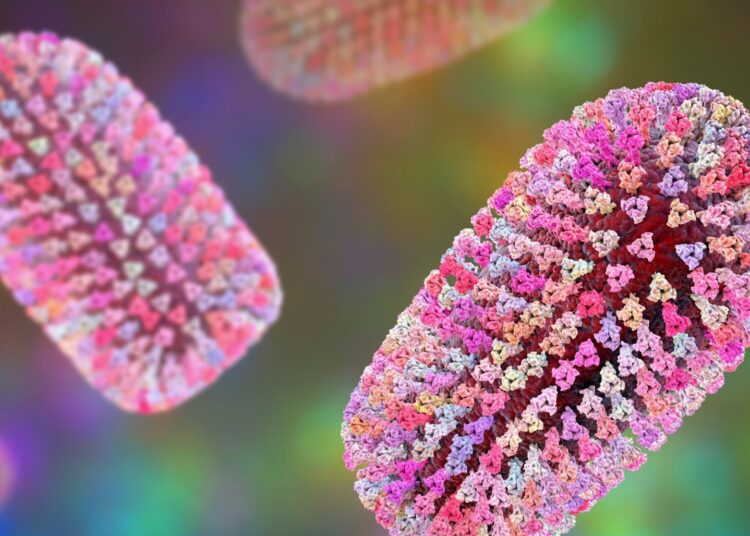 Man Dies of Rabies After Receiving Kidney From Someone Scratched by a Skunk