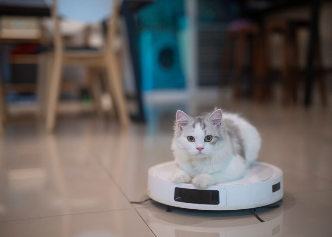 Roomba Maker iRobot Just Filed for Bankruptcy