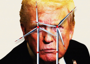 Trump Escalates His War on Windmills with Dramatic Move
