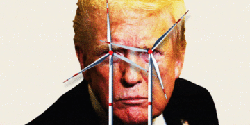 Trump Escalates His War on Windmills with Dramatic Move
