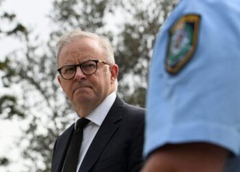 Australia announces plan to buy back guns after Bondi mass killing