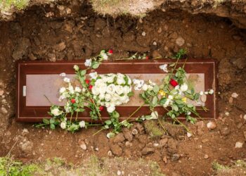 Scientists Analyzed 38 Million American Obituaries, and the Results Say a Lot About Us