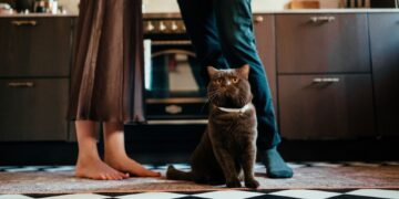Why Your Cat Meows More at Men Than Women