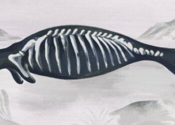 Sumptuous New Historical Fiction