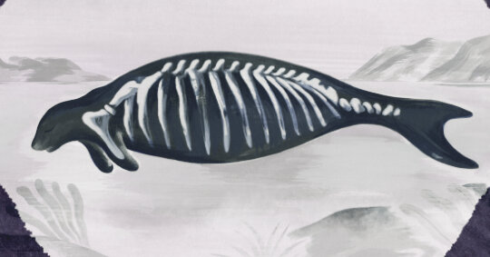 Sumptuous New Historical Fiction