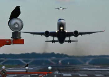 Congressional probe of DCA collision faults Army, seeks Pentagon review