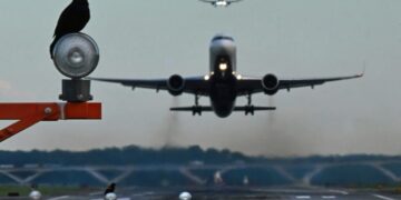 Congressional probe of DCA collision faults Army, seeks Pentagon review