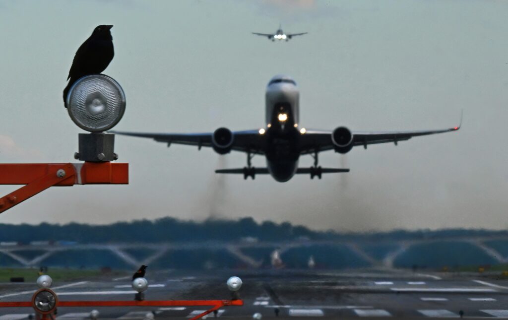 Congressional probe of DCA collision faults Army, seeks Pentagon review