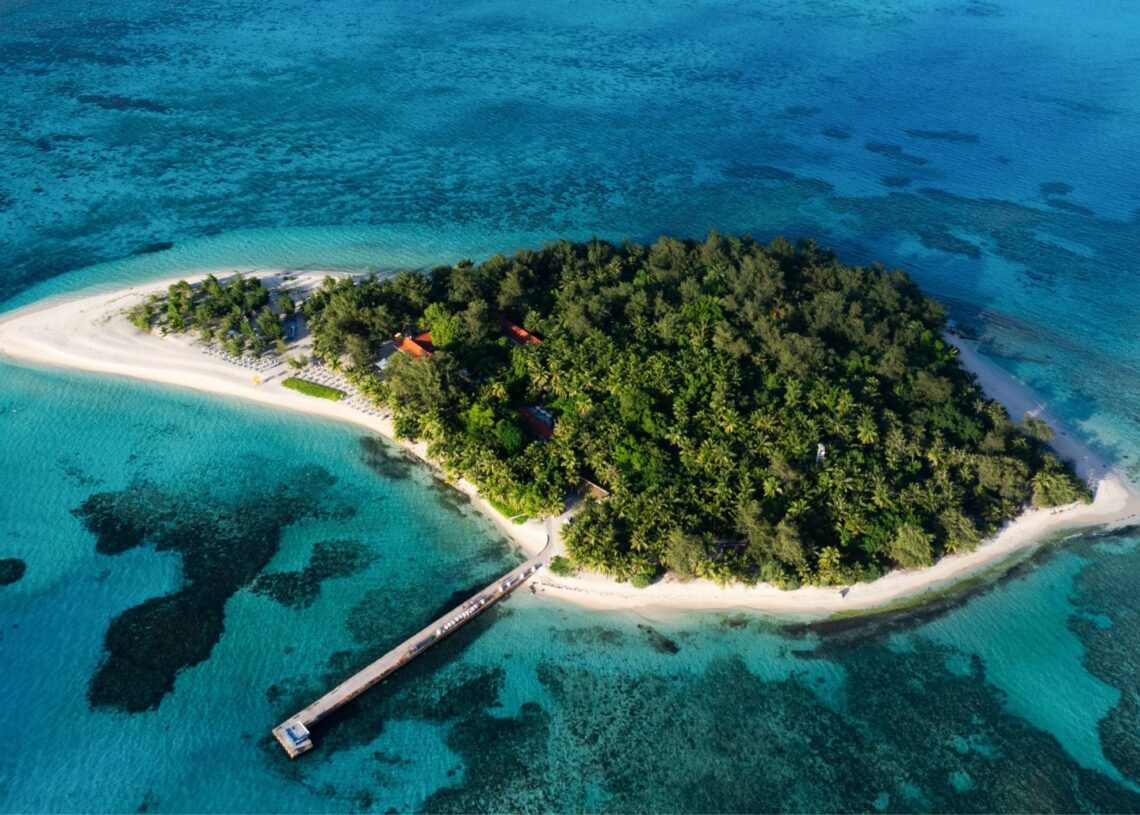 Tech Billionaires Are Trying to Escape America With Private ‘Startup Societies’