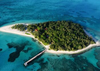 Tech Billionaires Are Trying to Escape America With Private ‘Startup Societies’