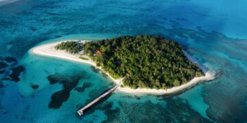 Tech Billionaires Are Trying to Escape America With Private ‘Startup Societies’