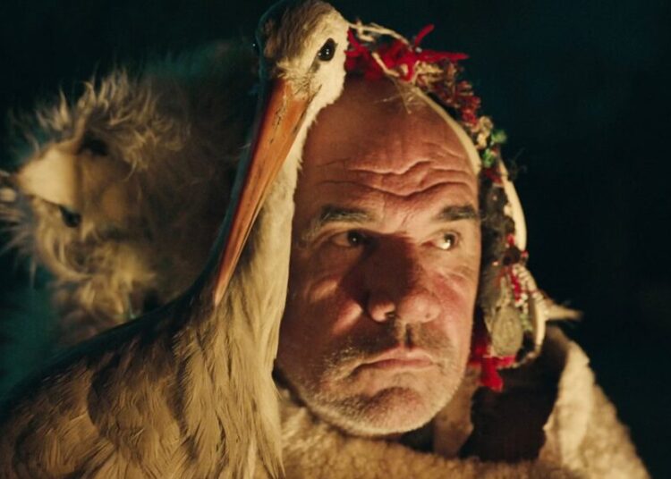 Can Storks Be Political? Award-Winning Doc ‘The Tale of Silyan’ Says Yes