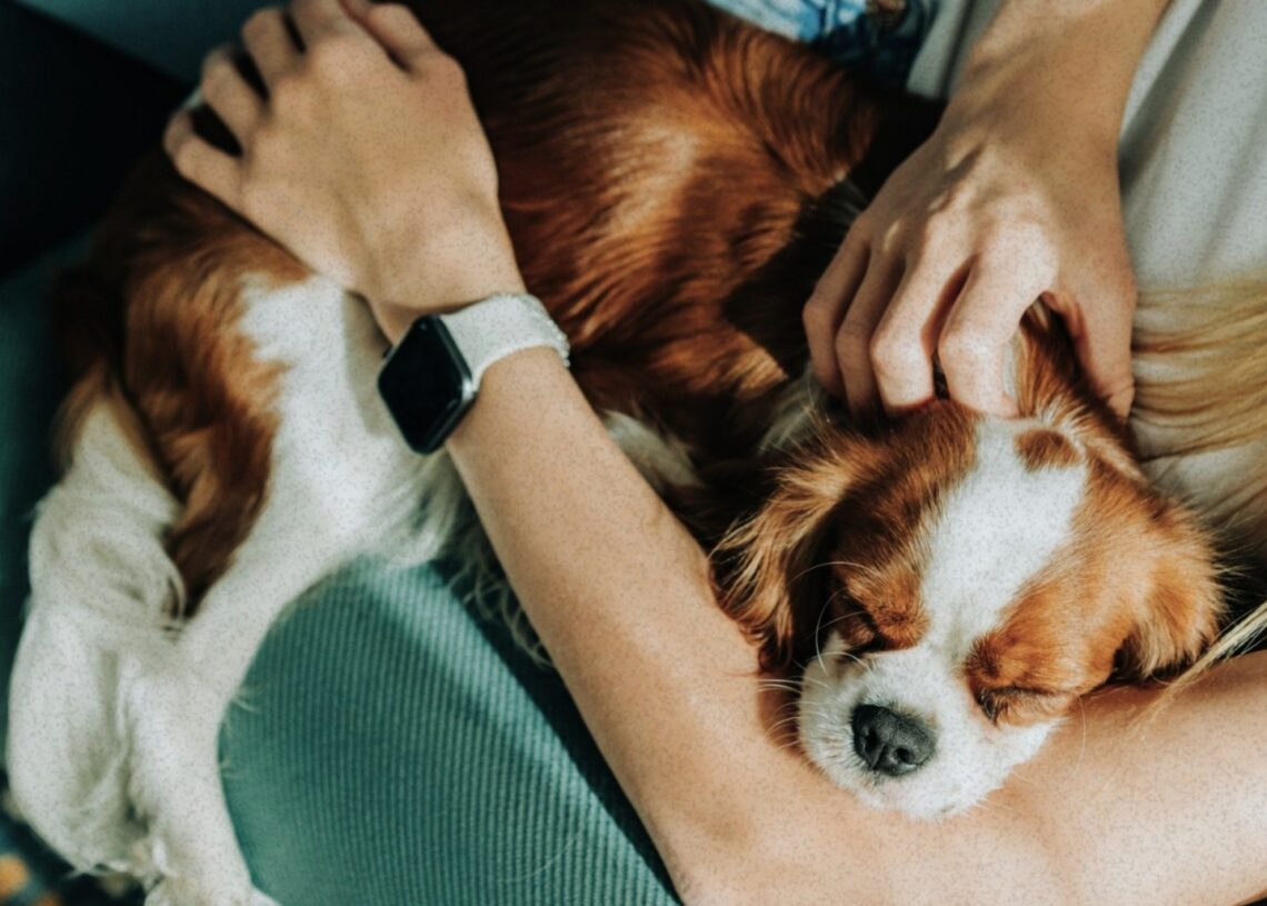 This Woman Is Suing the IRS to Claim Her Dog as a Dependent