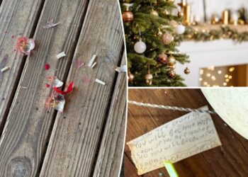 After vintage Christmas ornament shatters — its owners were shocked to find this inside