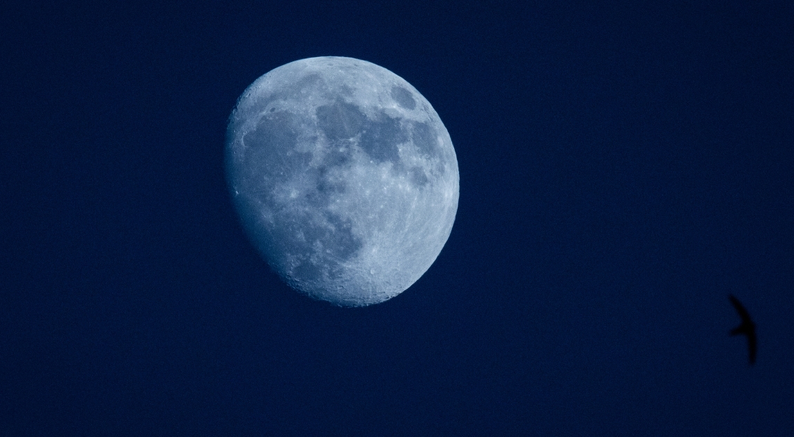 Tonight’s Moon Phase: December 29, 2025