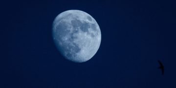 Tonight’s Moon Phase: December 29, 2025