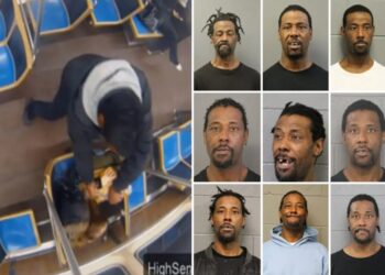 Maniac repeat offender accused of setting Chicago train rider on fire now charged with trying to torch City Hall