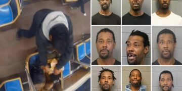 Maniac repeat offender accused of setting Chicago train rider on fire now charged with trying to torch City Hall