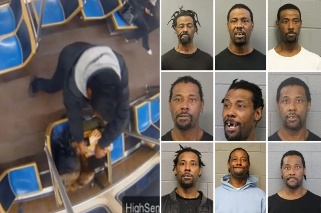 Maniac repeat offender accused of setting Chicago train rider on fire now charged with trying to torch City Hall