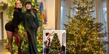 Strange celebrity ‘naked Christmas tree’ trend sparks pushback: ‘Ornaments are a must’