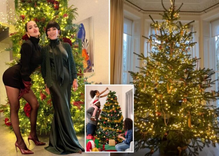Strange celebrity ‘naked Christmas tree’ trend sparks pushback: ‘Ornaments are a must’