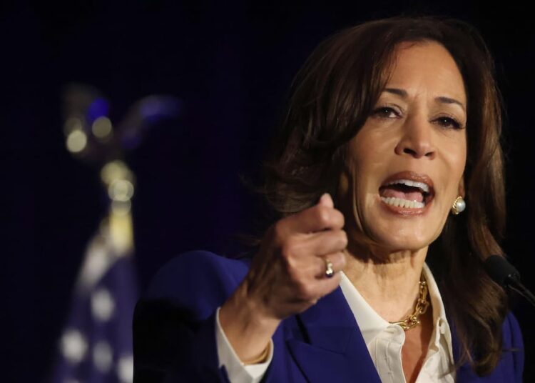 Kamala Harris Lays Groundwork for 2028 Run With Damning New Message