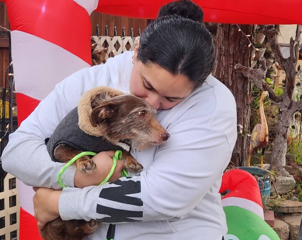 In ‘Christmas miracle,’ missing dog is found 5 years later, 2,300 miles away