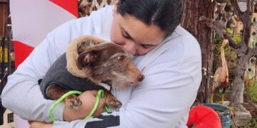 In ‘Christmas miracle,’ missing dog is found 5 years later, 2,300 miles away