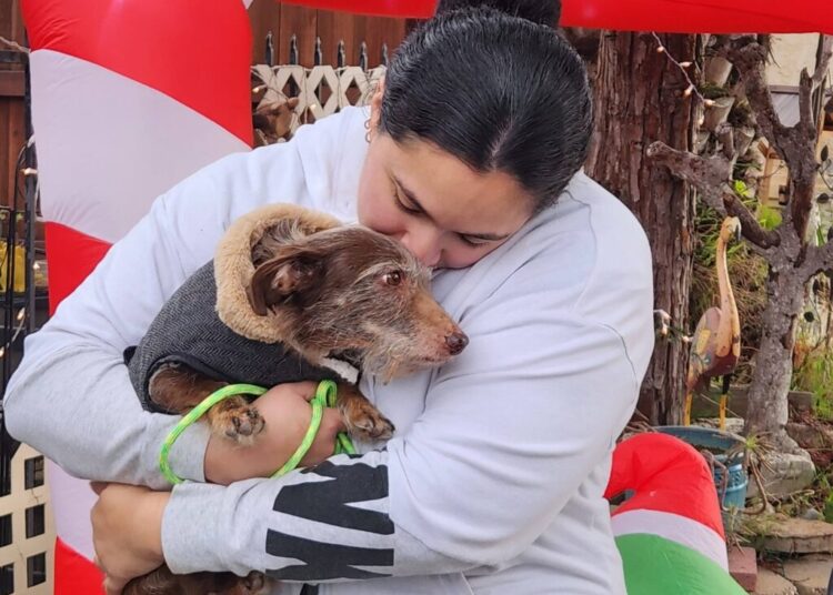 In ‘Christmas miracle,’ missing dog is found 5 years later, 2,300 miles away