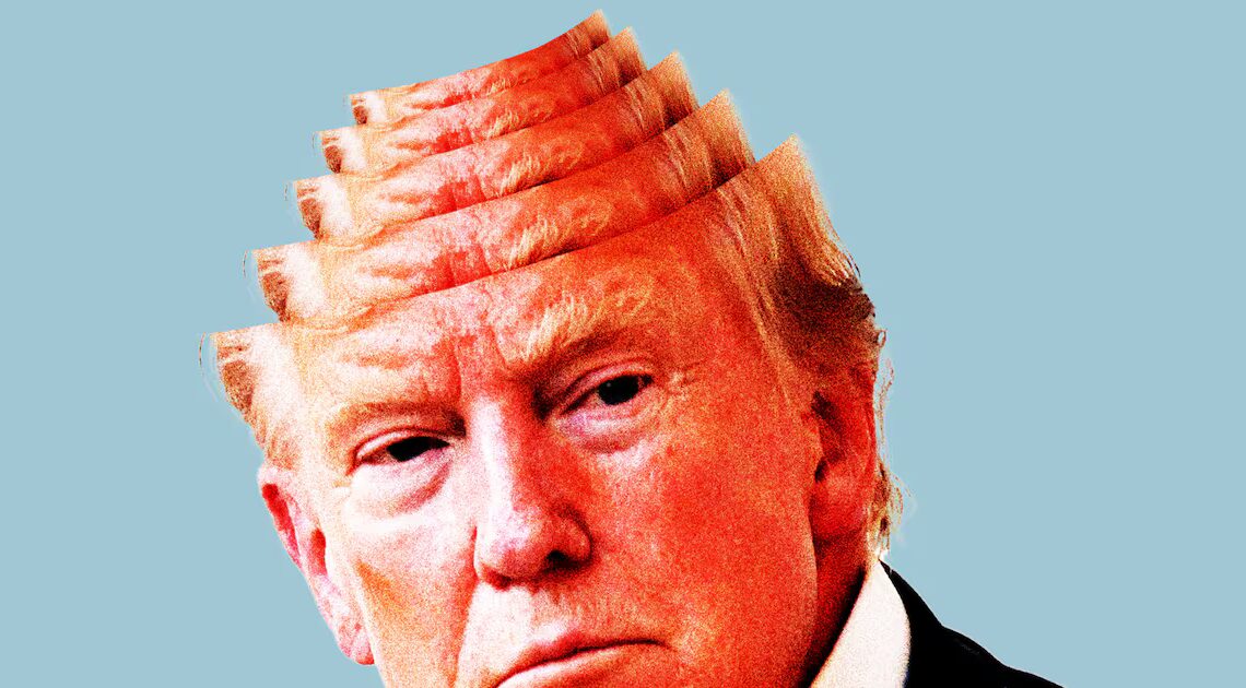 Dems Target Trump, 79, ‘Losing His Mind’ for Midterms