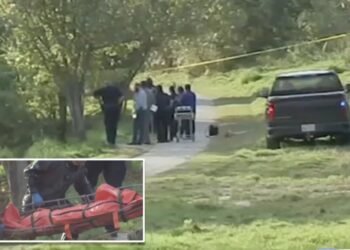 More than 30 bodies recovered from Houston-area bayous this year, sparking serial killer fears