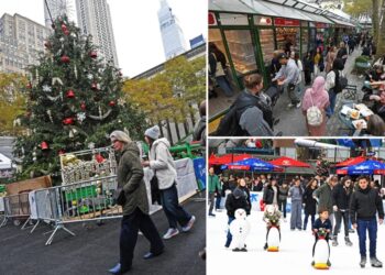 6-year-old slapped in face during unprovoked assault at Bryant Park winter market