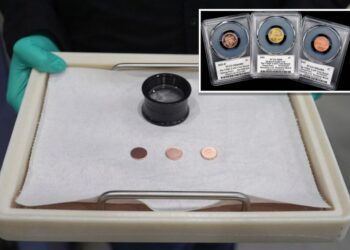 Last US pennies ever minted fetch whopping $16.7 million at auction