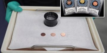 Last US pennies ever minted fetch whopping $16.7 million at auction