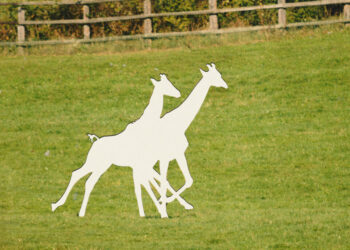 Two baby giraffes are missing. Alicia Silverstone and others want answers.