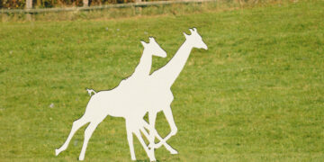 Two baby giraffes are missing. Alicia Silverstone and others want answers.