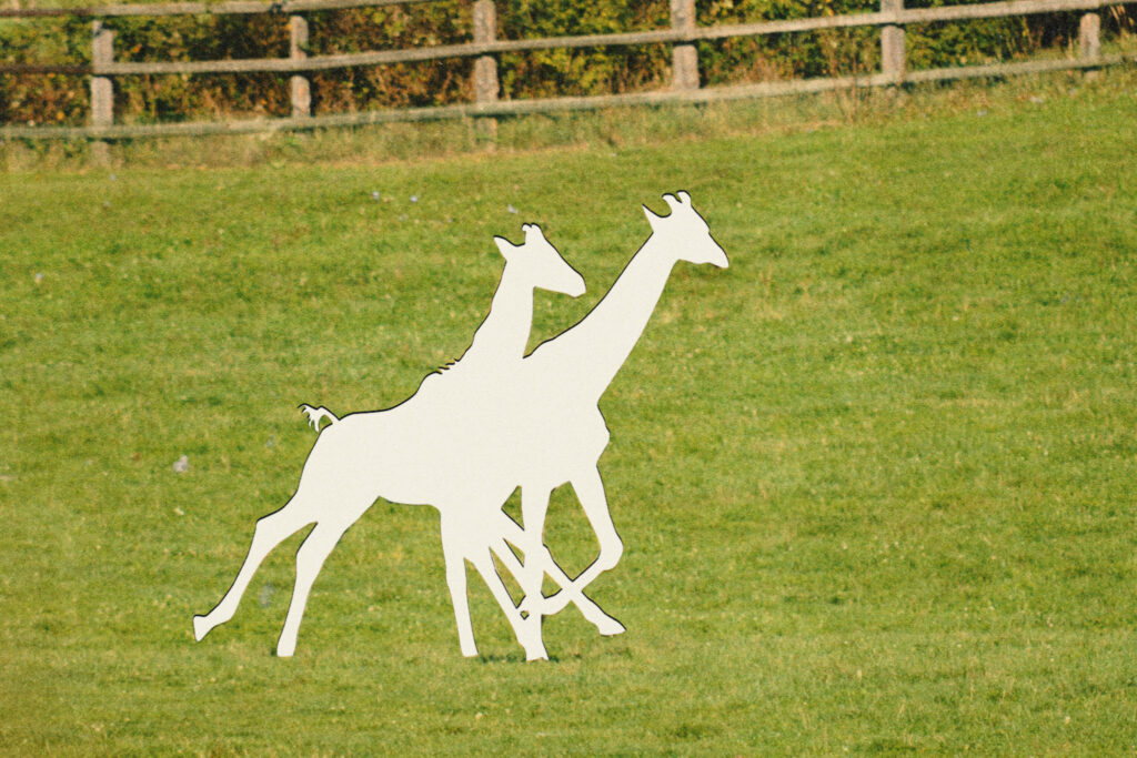 Two baby giraffes are missing. Alicia Silverstone and others want answers.