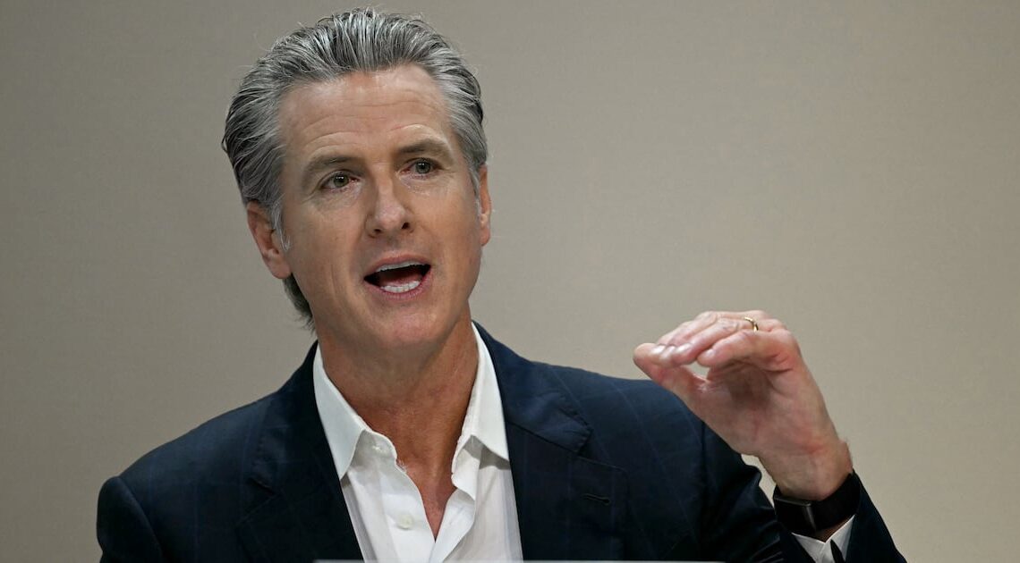 Newsom Creates Entire Website to Shame Trump’s ‘Criminal Cronies’