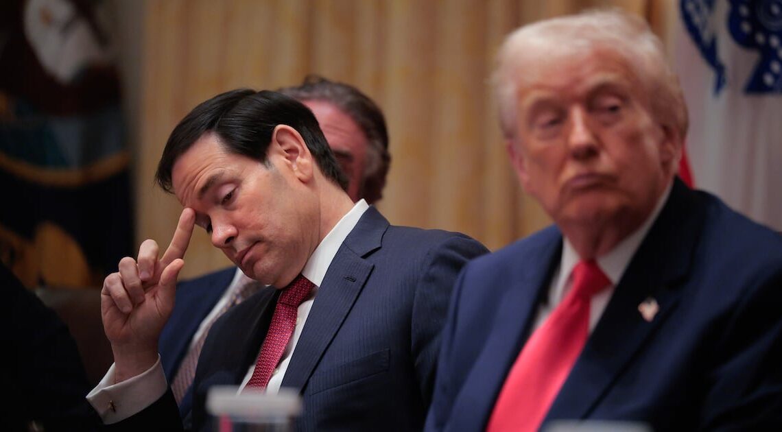 Trump Goon Mistakenly Blows Up His Boast About Solving War