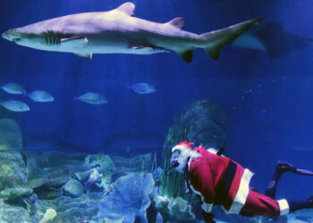 What’s Going On in This Picture? | Dec. 8, 2025