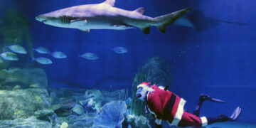 What’s Going On in This Picture? | Dec. 8, 2025