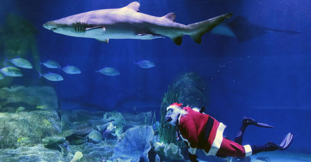 What’s Going On in This Picture? | Dec. 8, 2025