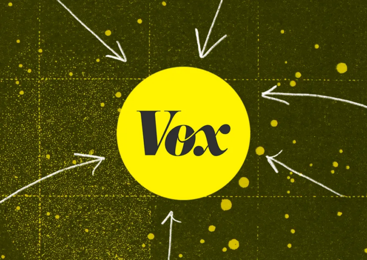 10 of the best Vox stories of 2025