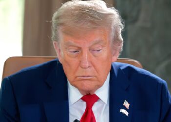 Google Report Reveals Trump Underling Higher Than Him in Search Trends in 2025