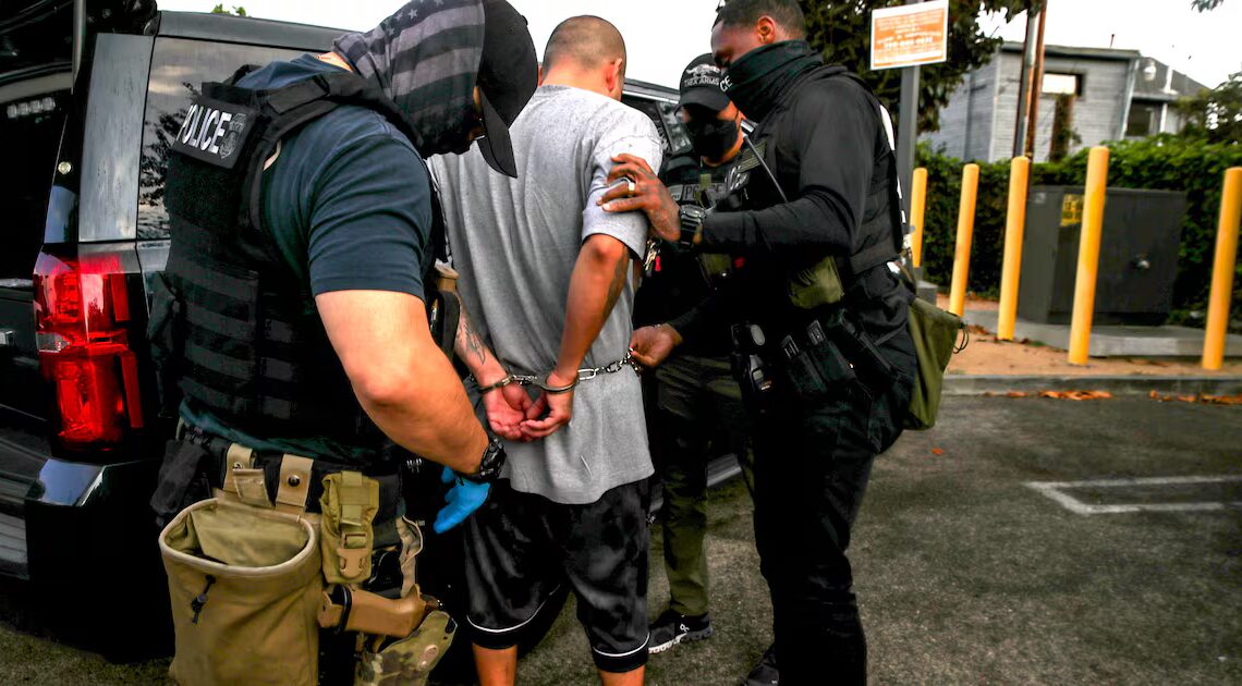 Trump Judge Gives ICE an Ultimatum Over ‘Demonstrably False’ Claims