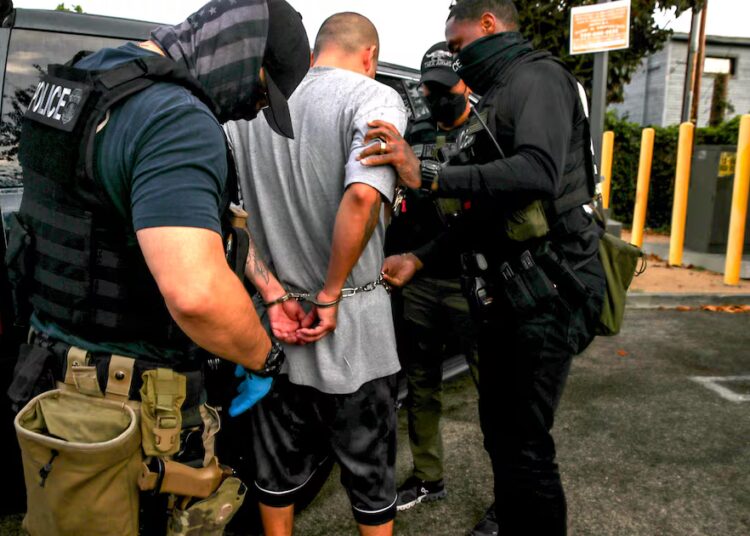 Trump Judge Gives ICE an Ultimatum Over ‘Demonstrably False’ Claims