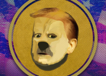 In Cryptoland, Memecoin Fever Gives Way to a Stablecoin Boom